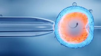 南昌2026助孕公司排行榜最新发布（内附联系方式）