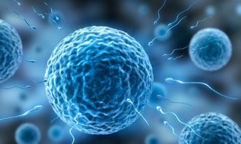 2026年单身女人去天津爱维医院做三代试管生孩子的成功率高吗？